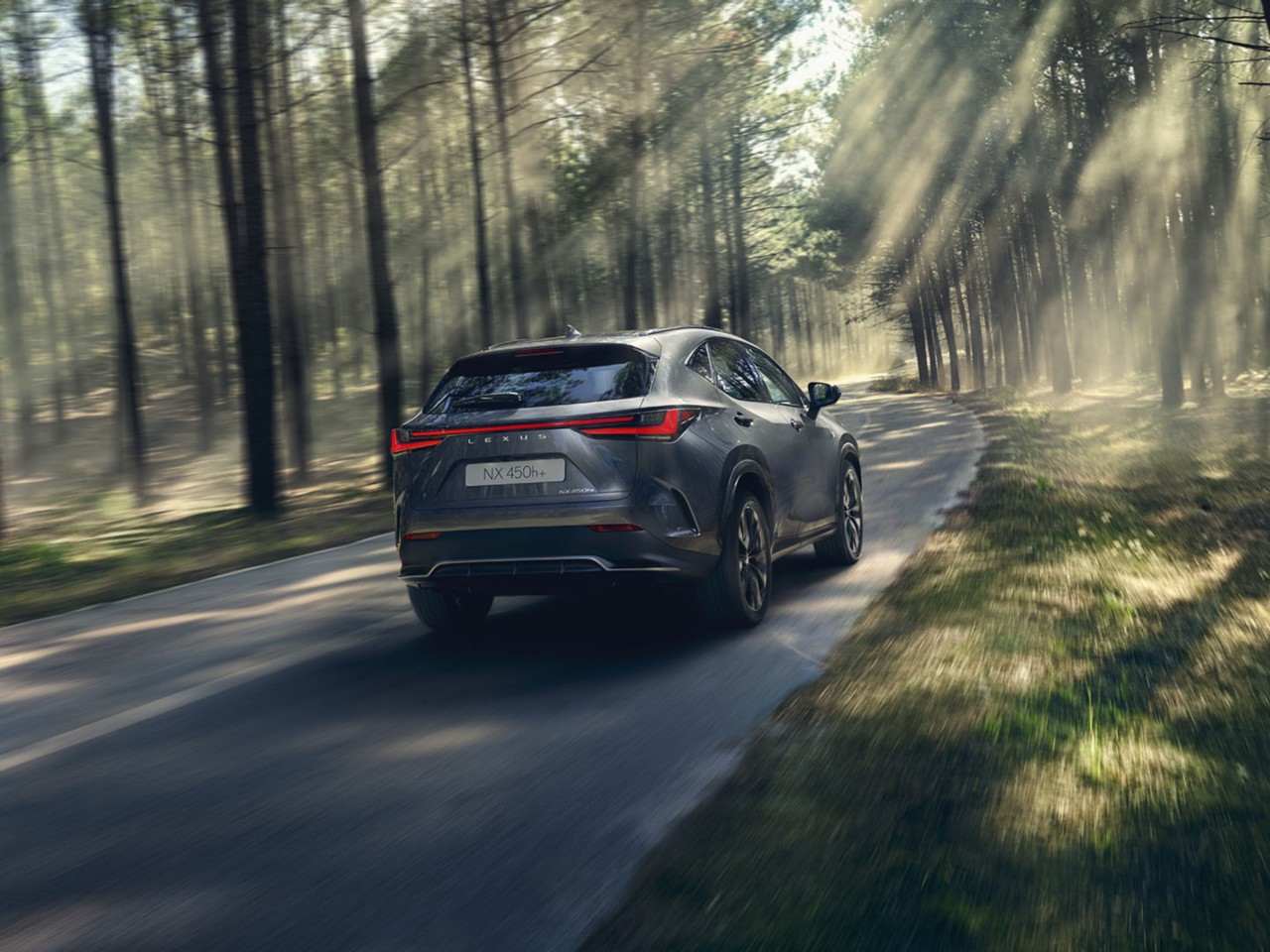 Lexus Plug-In Hybrid in Rabla Plus 2023